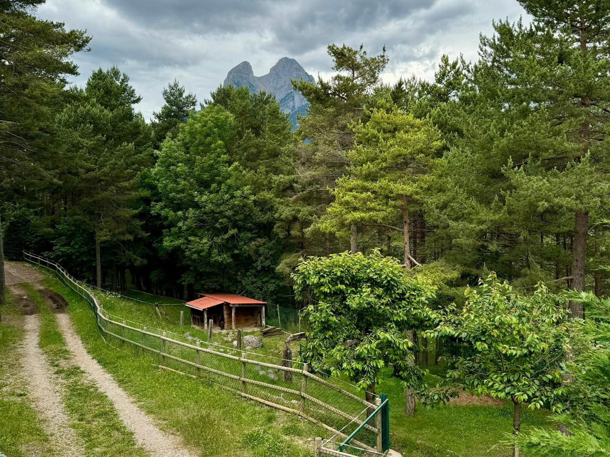 Cal Roig - Pedraforca Villa Saldes Luaran gambar
